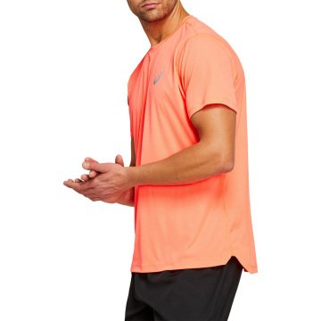 Asics Silver SS Erkek Spor Tişört