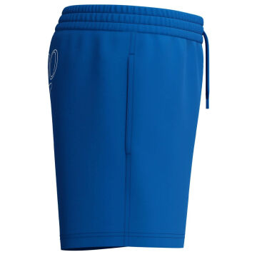 Speedo Classic Logo Volley Erkek Çocuk Şort Mayo