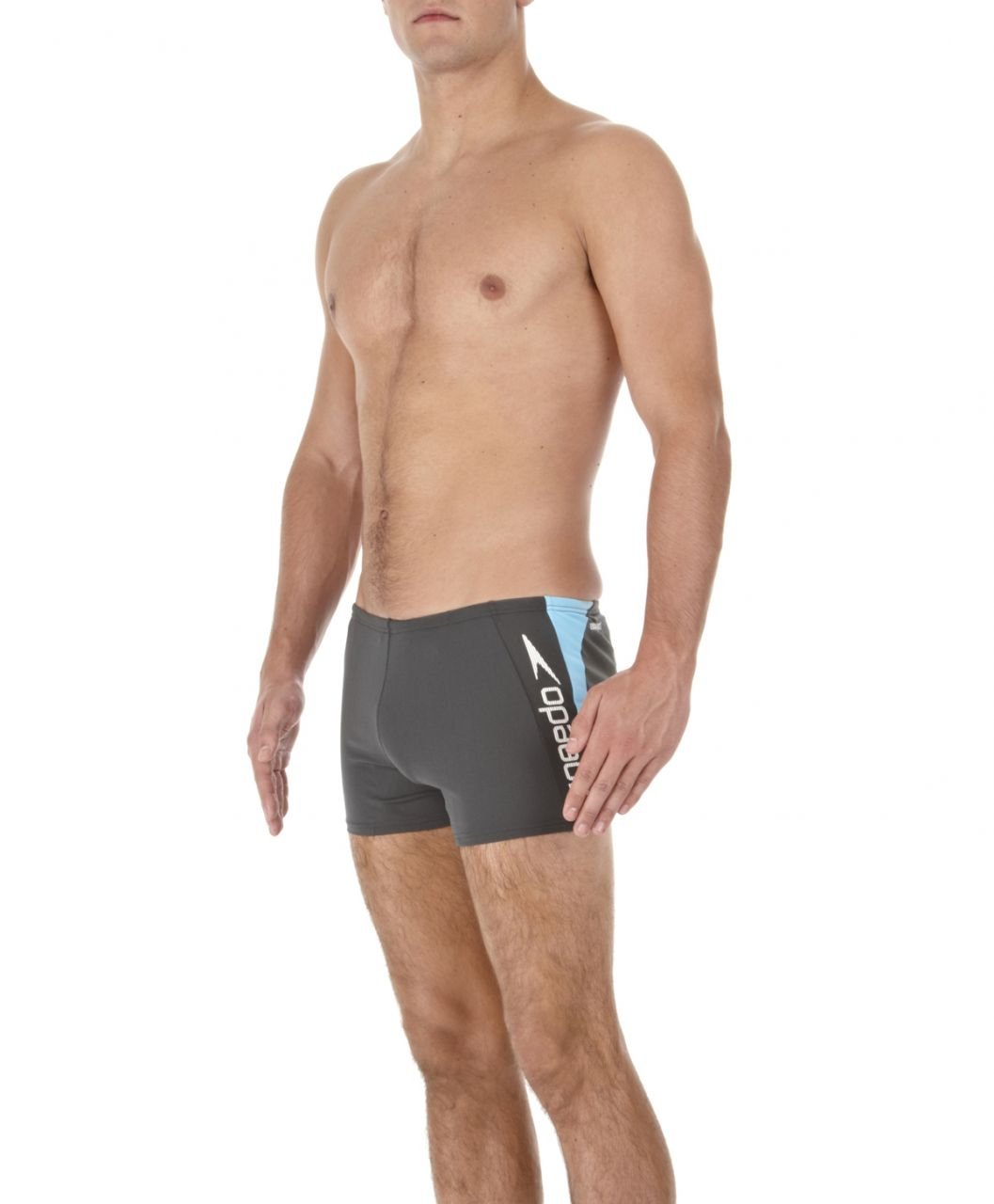 Speedo Alexandro Endurance+ Aquashort - Gri/Mavi