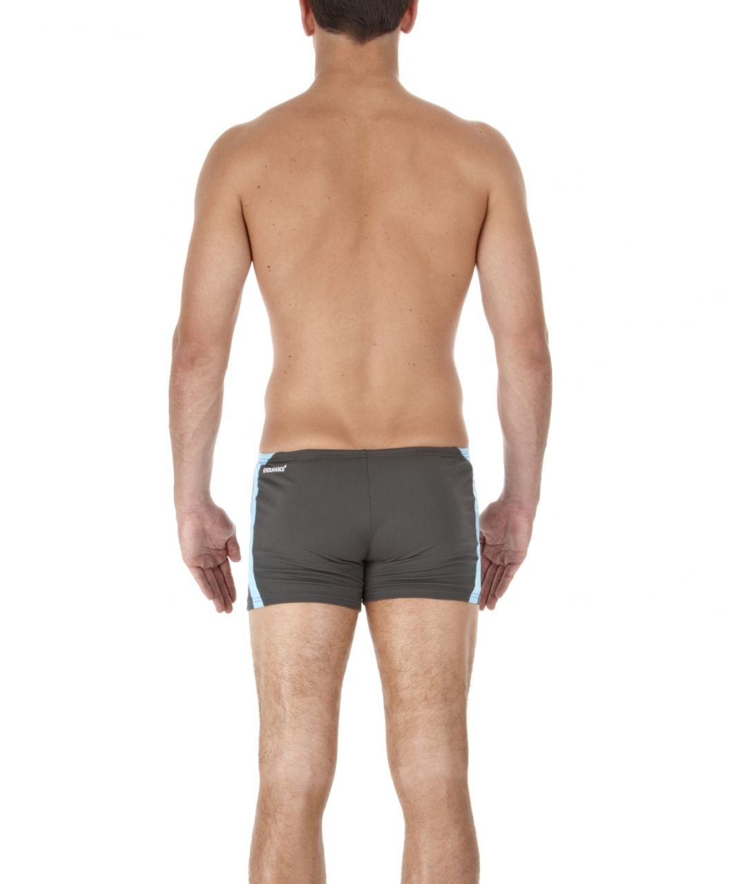 Speedo Alexandro Endurance+ Aquashort - Gri/Mavi