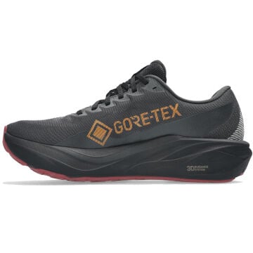 Asics GT-2000 15 GTX Erkek Koşu Ayakkabısı