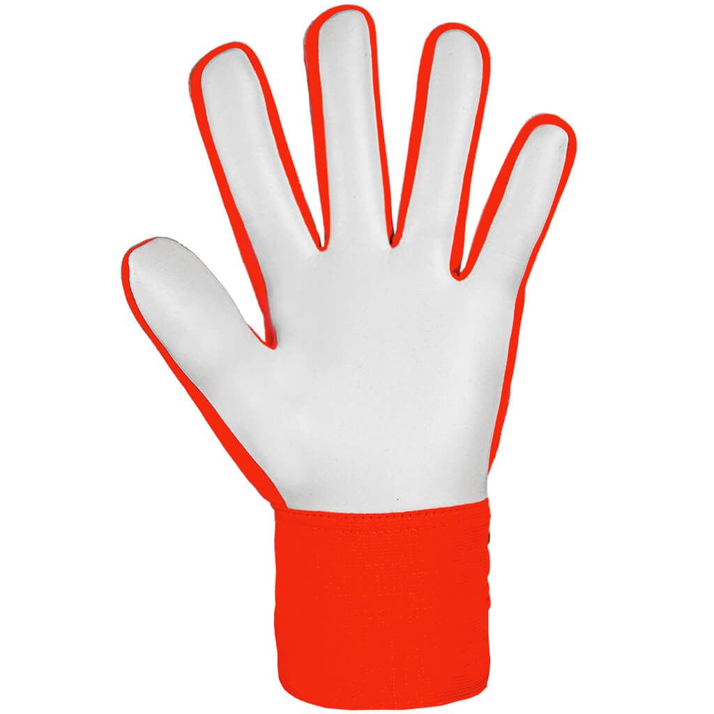 Reusch Attrakt Starter Solid Kaleci Eldiveni