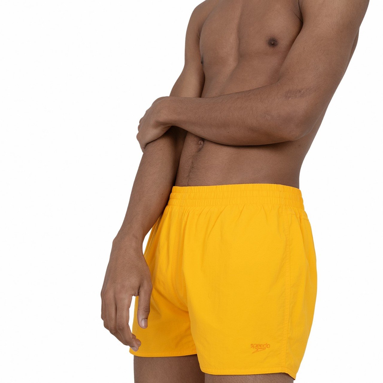 Speedo Erkek Şort Mayo