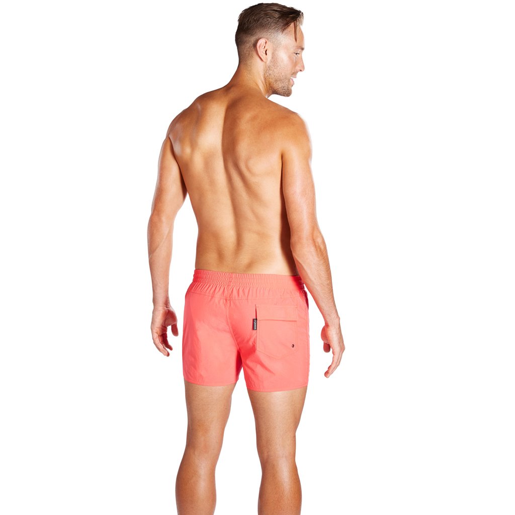Speedo Erkek Şort Mayo
