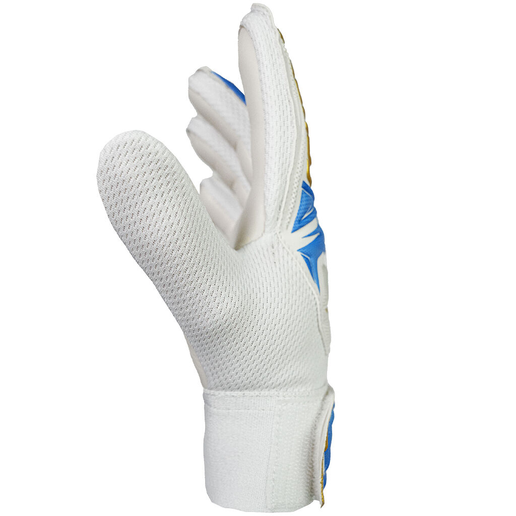 Reusch Attrakt Starter Solid Kaleci Eldiveni
