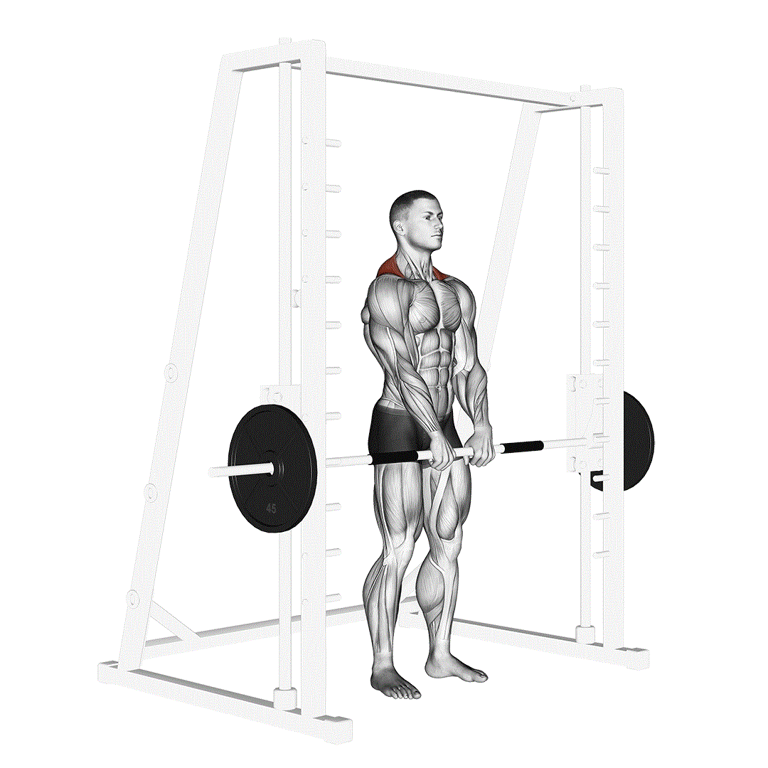 Max Life Smith Machine Çalışma İstasyonu