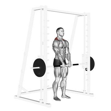 Max Life Smith Machine Çalışma İstasyonu
