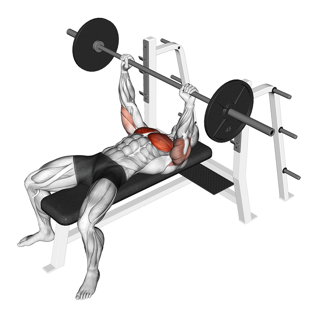 Max Life Olimpik Düz Weight Bench Press Sehpası