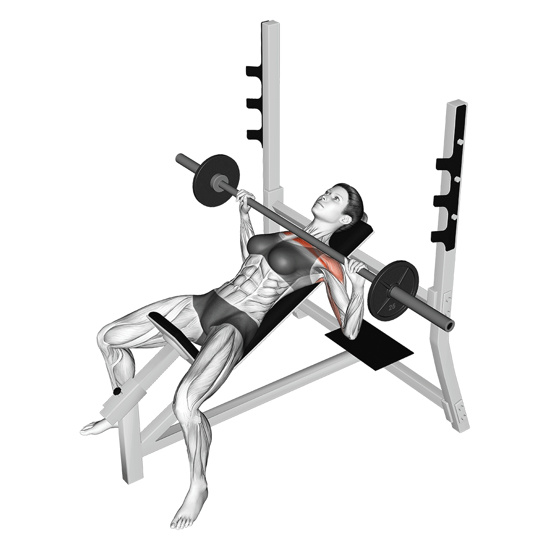 Max Life Olimpik Eğimli Incline Bench Press Sehpası
