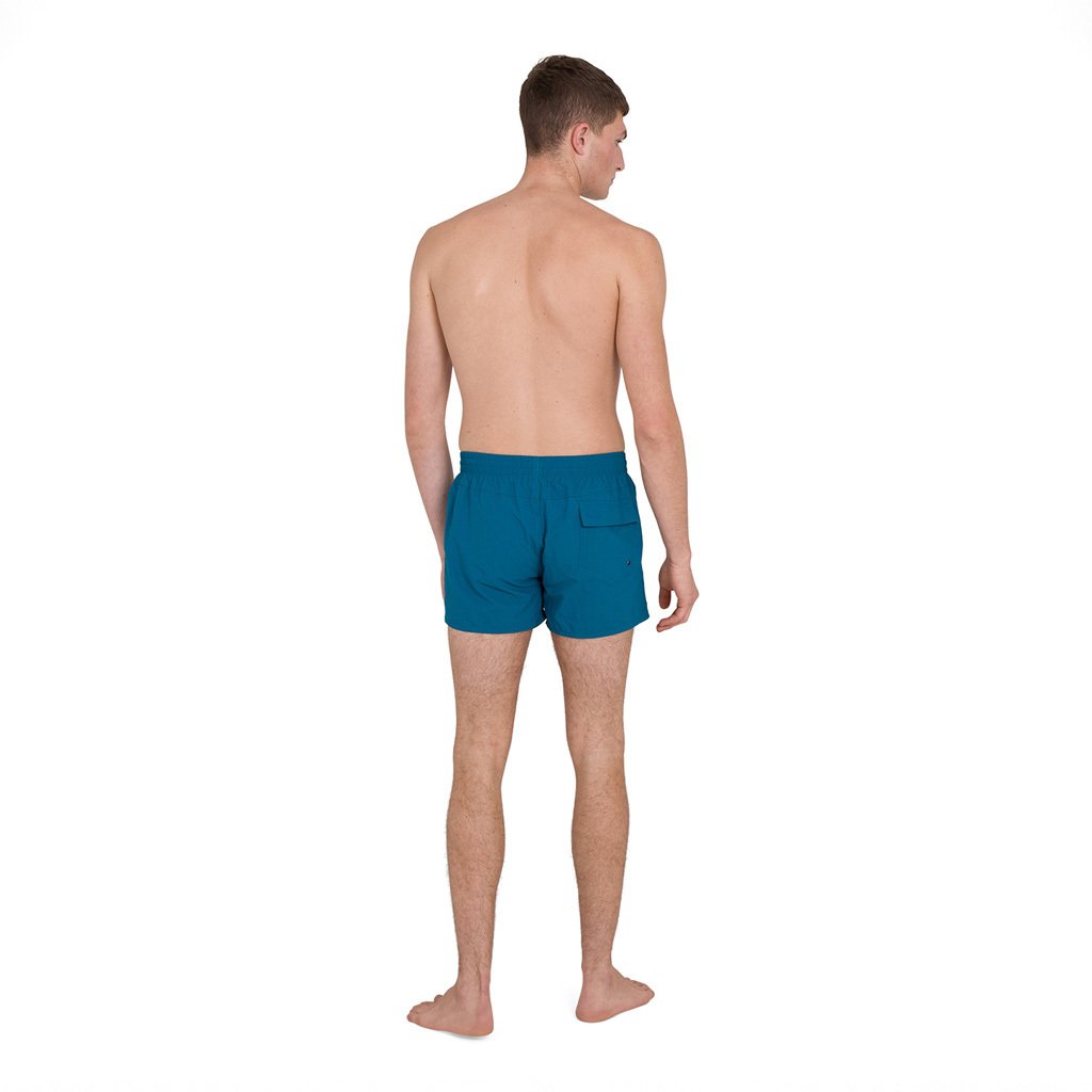 Speedo Erkek Şort Mayo