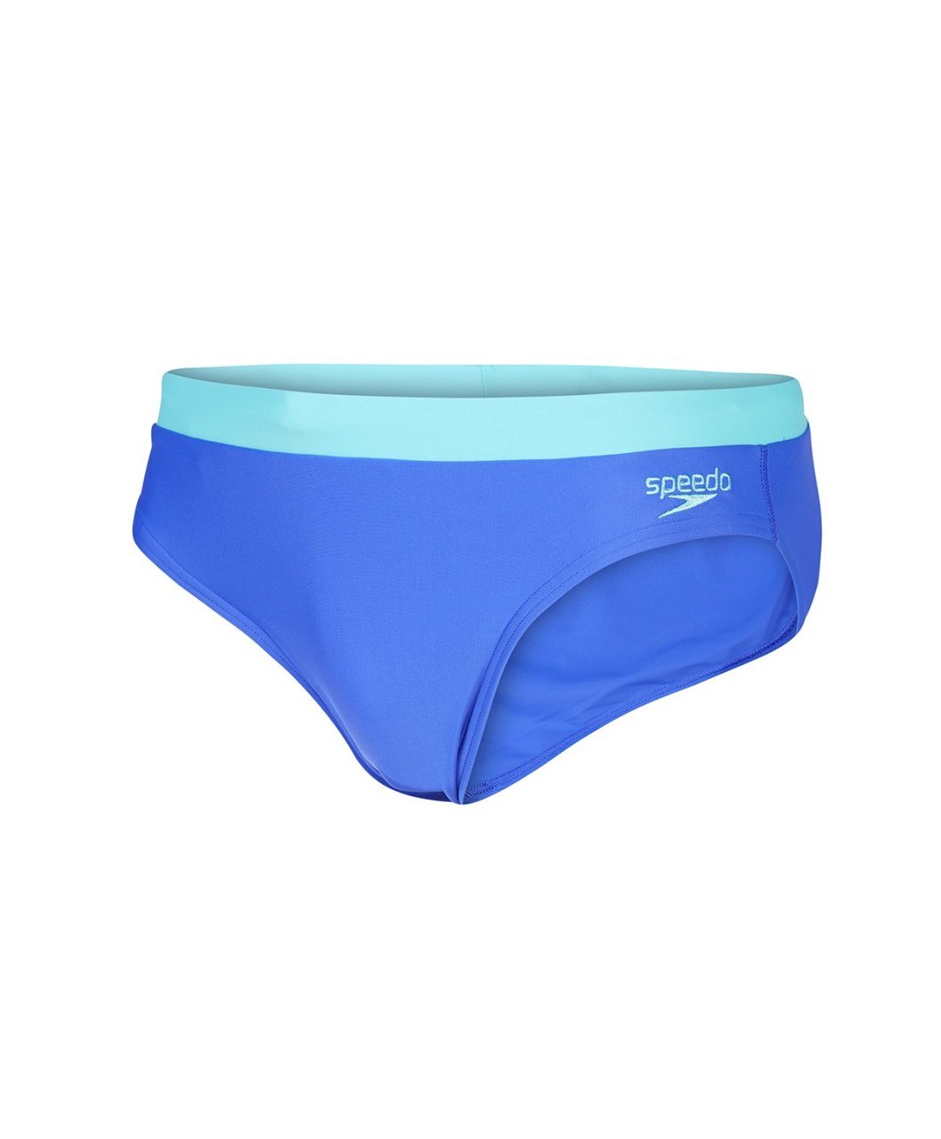 Speedo Erkek Slip Yüzücü Mayosu