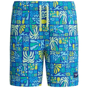 Speedo Print Volley 15'' Erkek Şort Mayo