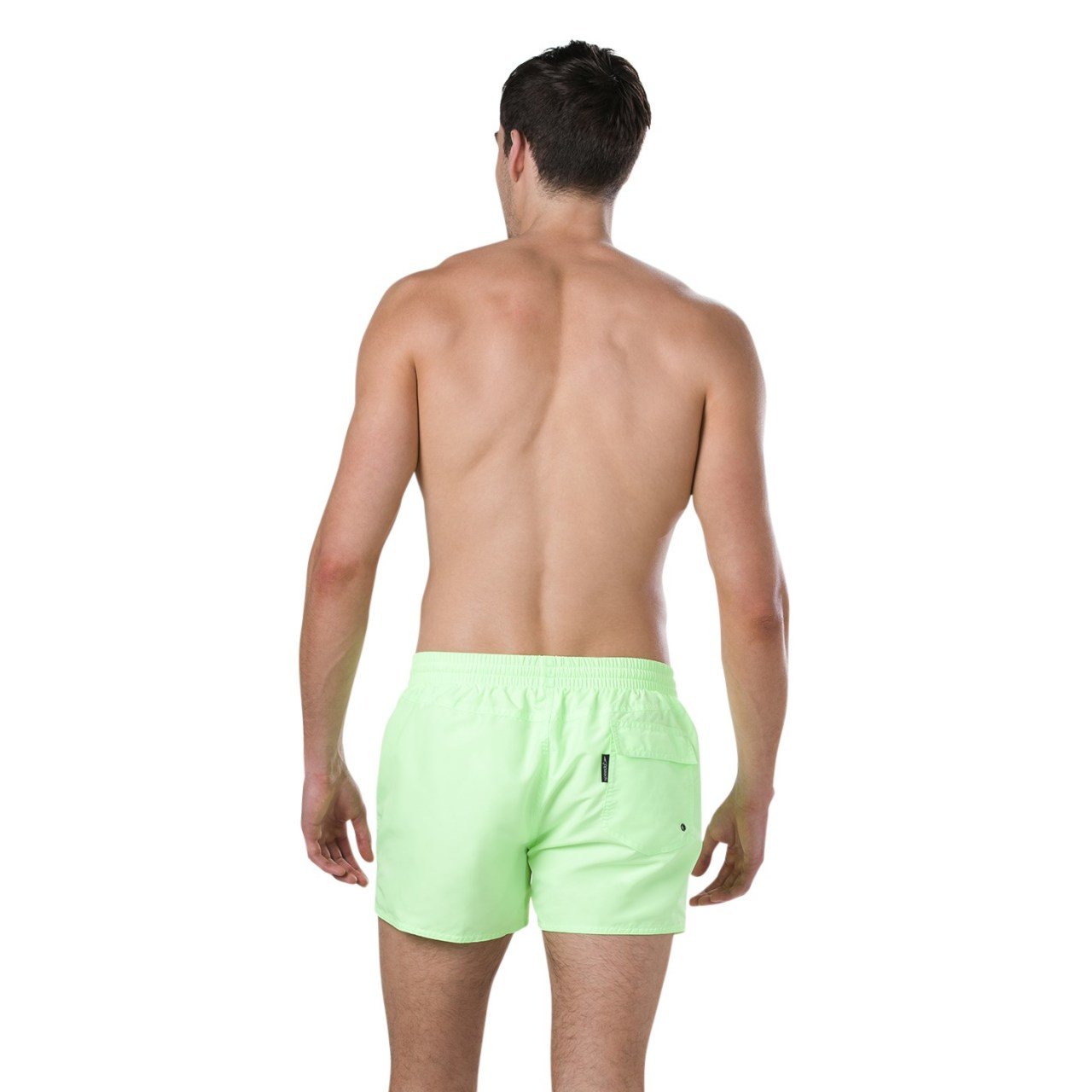 Speedo Erkek Şort Mayo