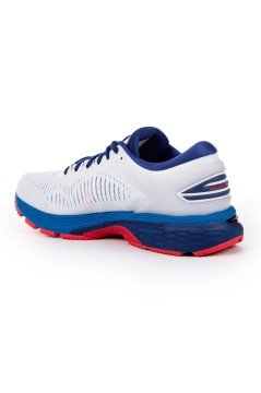 Asics Gel Kayano 25 Erkek Koşu Ayakkabısı