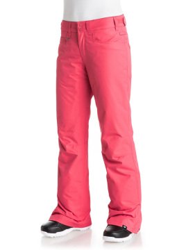 Quiksilver Backyard Kadın Kayak Snowboard Pantolonu