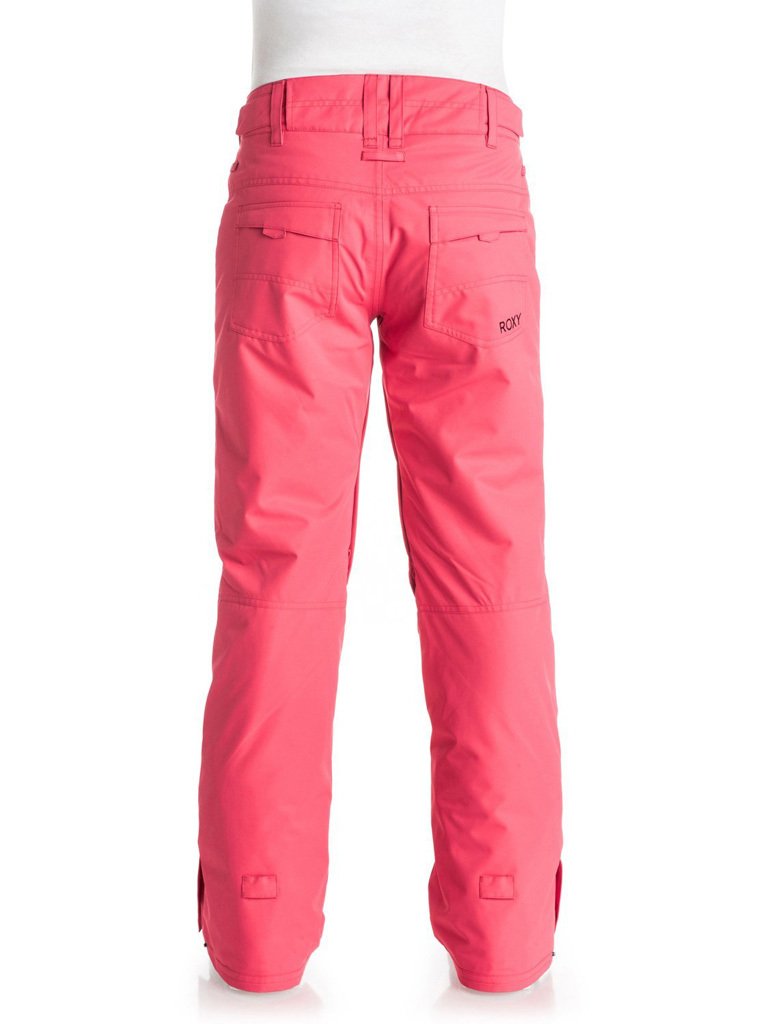 Quiksilver Backyard Kadın Kayak Snowboard Pantolonu