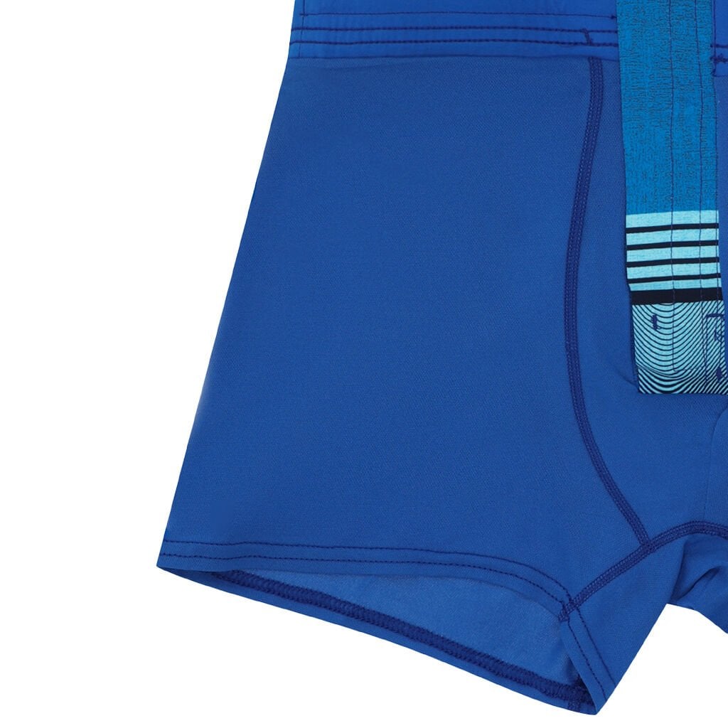 Speedo Print Bondi Boardshort Erkek Yüzücü Mayosu